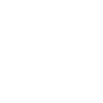 Heart_vit